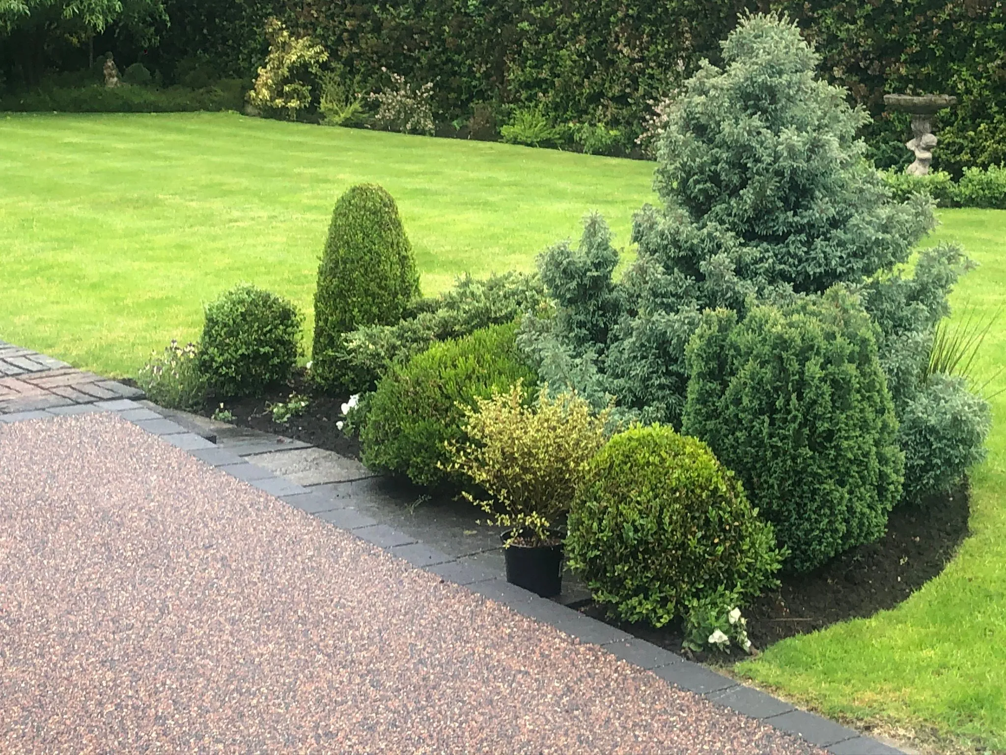 Russet resin drive with lawn and topiary border