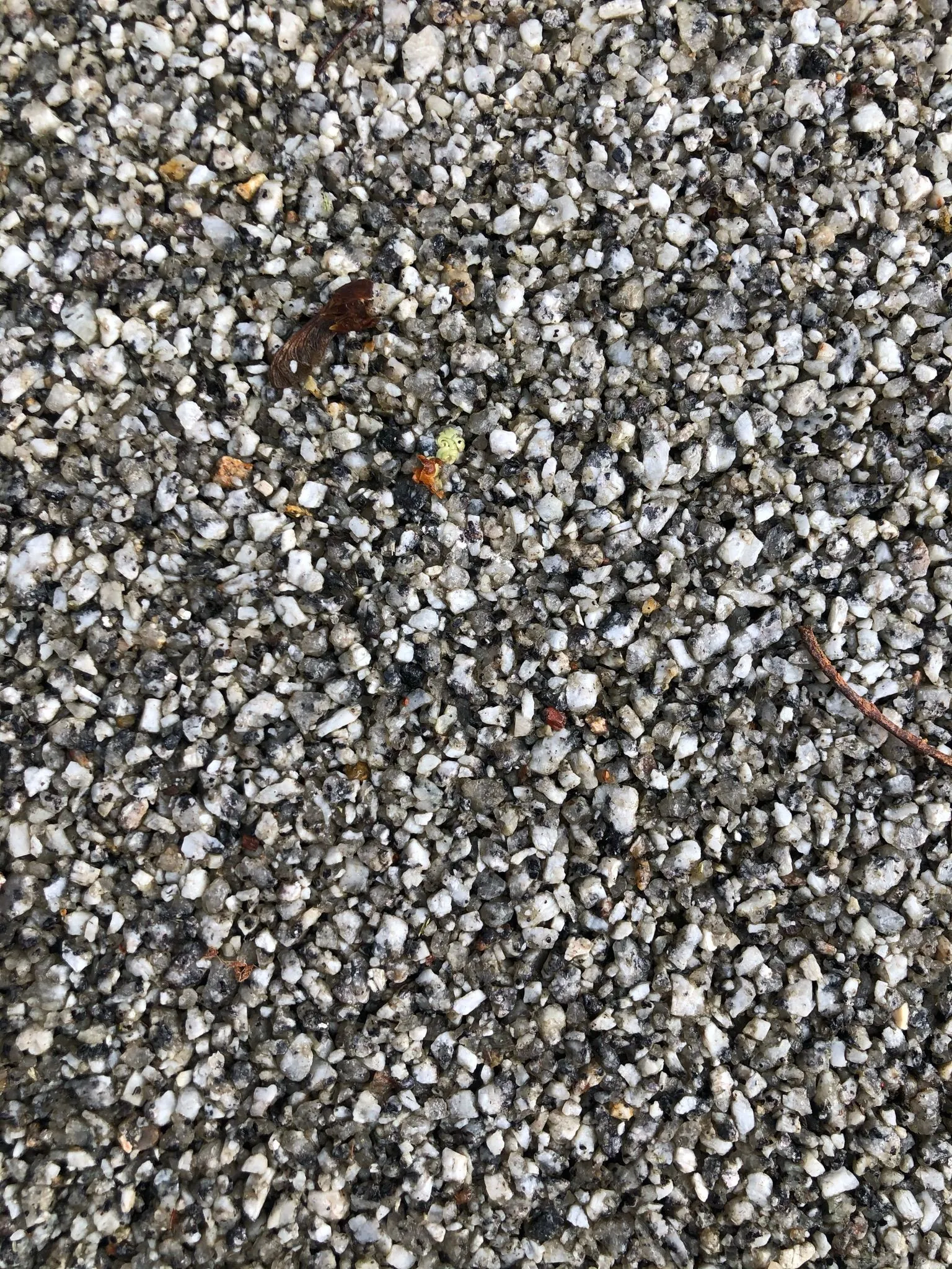 Silver resin bound aggregate texture close-up, Manchester